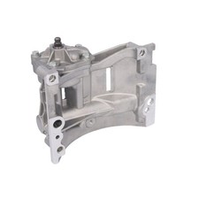 Ölpumpe PIERBURG 7.29246.01.0